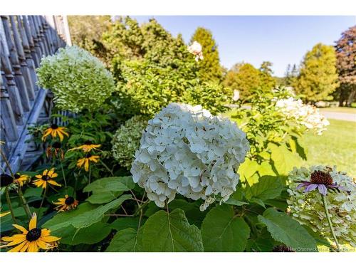 49 Yeomans Rd, Mill Brook, NB 