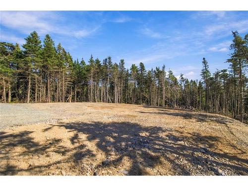 42 Windgap Road, Torbay, NL 