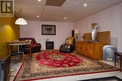 Lower Level Rec Room - 