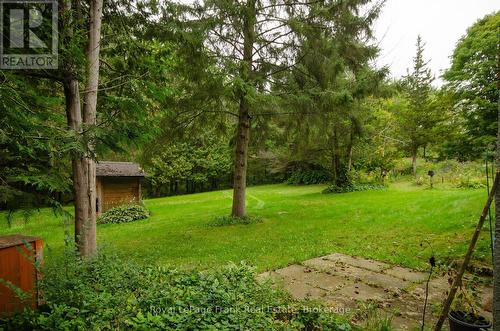 Backyard - 15032 Telephone Road, Brighton, ON 