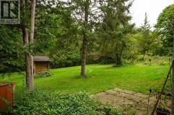 Backyard - 