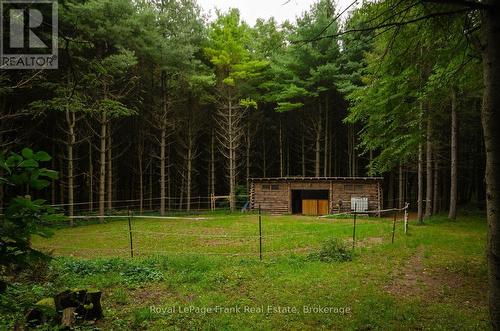 Run In Barn With Stalls - 15032 Telephone Road, Brighton, ON 