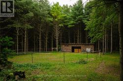 Run In Barn With Stalls - 