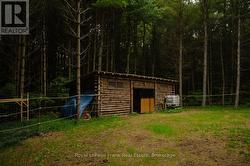 Run In Barn - 