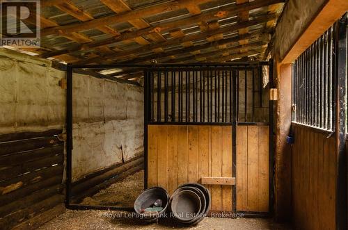 Run In Barn Interior - 15032 Telephone Road, Brighton, ON 
