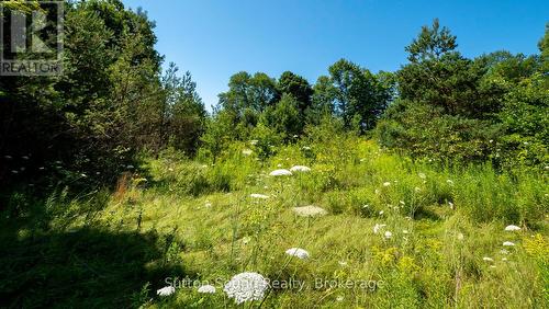31 Everett Road, South Bruce Peninsula, ON 