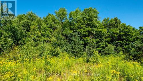 31 Everett Road, South Bruce Peninsula, ON 