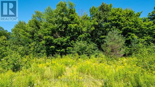 31 Everett Road, South Bruce Peninsula, ON 