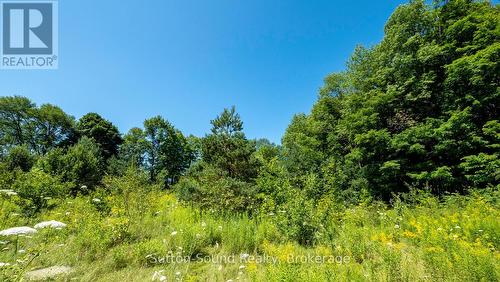 31 Everett Road, South Bruce Peninsula, ON 