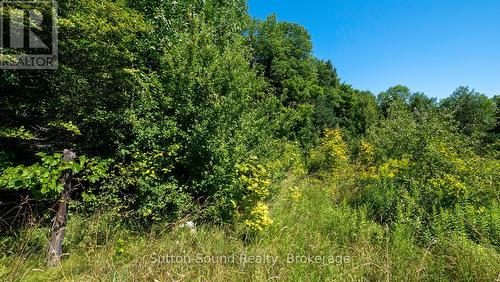 31 Everett Road, South Bruce Peninsula, ON 