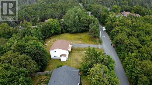 33 Ledrew'S Road, Conception Bay South, NL 