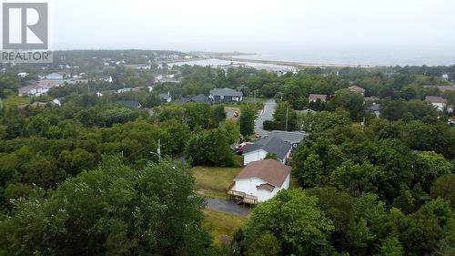 33 Ledrew'S Road, Conception Bay South, NL 