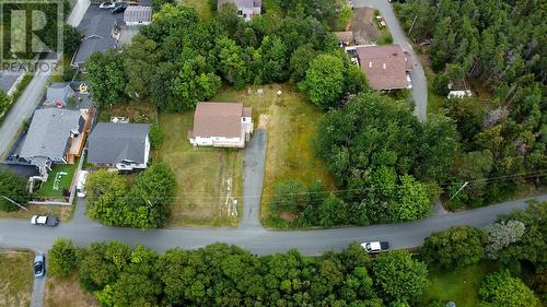 33 Ledrew'S Road, Conception Bay South, NL 