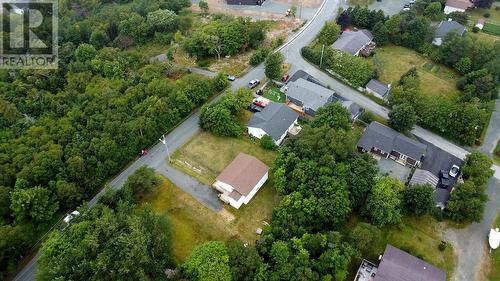 33 Ledrew'S Road, Conception Bay South, NL 