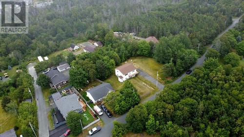 33 Ledrew'S Road, Conception Bay South, NL 