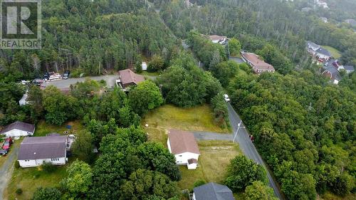33 Ledrew'S Road, Conception Bay South, NL 
