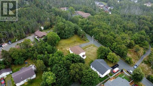 33 Ledrew'S Road, Conception Bay South, NL 