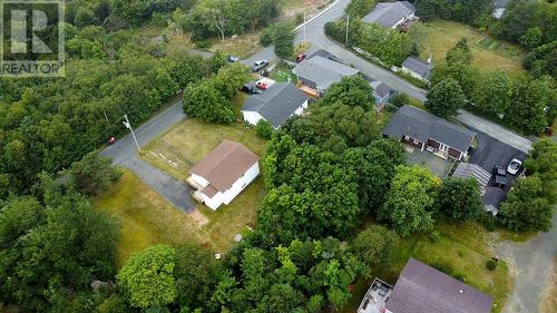 33 Ledrew'S Road, Conception Bay South, NL 