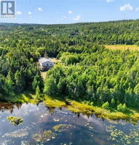0 Dam Pond Road, Brigus Junction, NL 