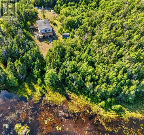 0 Dam Pond Road, Brigus Junction, NL 