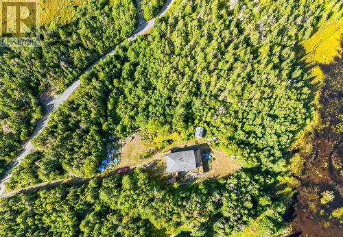 0 Dam Pond Road, Brigus Junction, NL 