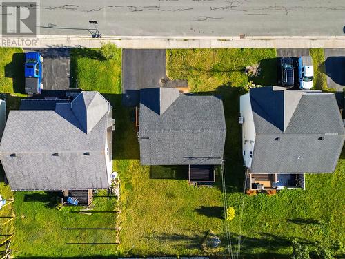 24 Hopedale Crescent, St. John'S, NL 