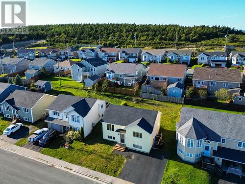24 Hopedale Crescent, St. John'S, NL 