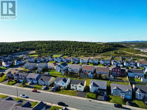 24 Hopedale Crescent, St. John'S, NL 