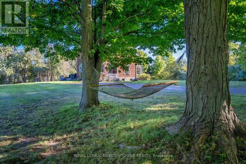 16089 Shaws Creek Road, Caledon, ON 
