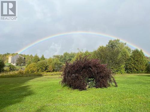 16089 Shaws Creek Road, Caledon, ON 