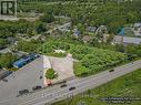 Welcome To 232 Main Street! - 232 Main Street, Kawartha Lakes, ON 