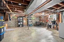 Basement: Clean and Loads of Storage - 