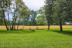 Backyard - 