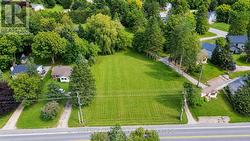ai generated grass - 
