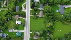 ai generated grass - 