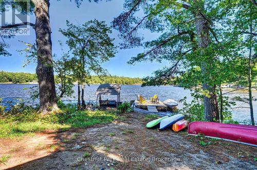 Paddle Storage Area & Large Sun Splashed Dock - 1048 Nora Lane, Gravenhurst (Ryde), ON 