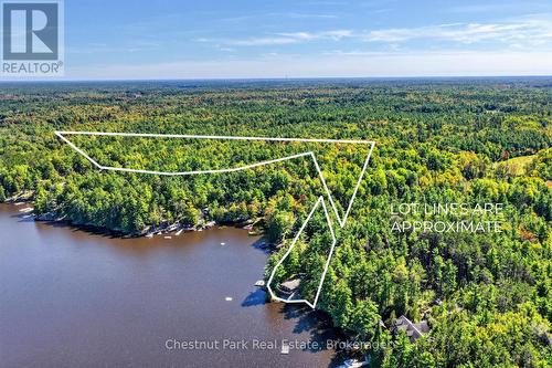 Approx 4-Acre Backlot - Privacy & Future Potential - 1048 Nora Lane, Gravenhurst (Ryde), ON 