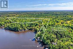 Approx 4-Acre Backlot - Privacy & Future Potential - 