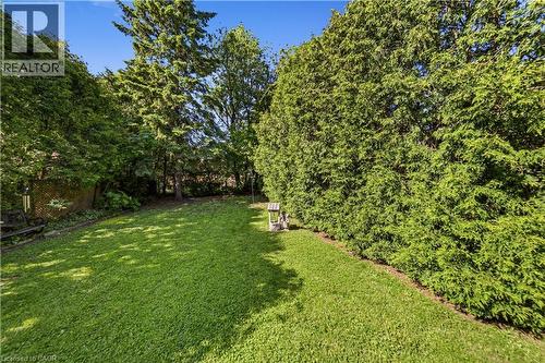 Expansive backyard featuring a large green lawn and mature perimeter trees for privacy - 450 Brigadoon Drive, Hamilton, ON 