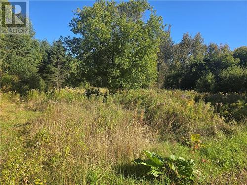 470 Imperial Road S, Massey, ON 