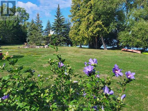 136 Lake Drive E, Georgina, ON 