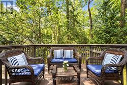 back deck - 