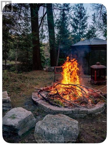 6 Cameron Road, Kawartha Lakes (Laxton/Digby/Longford), ON 