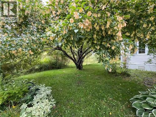 42 L'Anse Street, Eel River Crossing, NB 