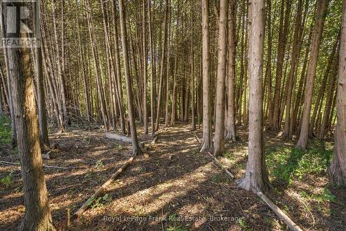 2223 Concession Road 7 Road, Clarington, ON 