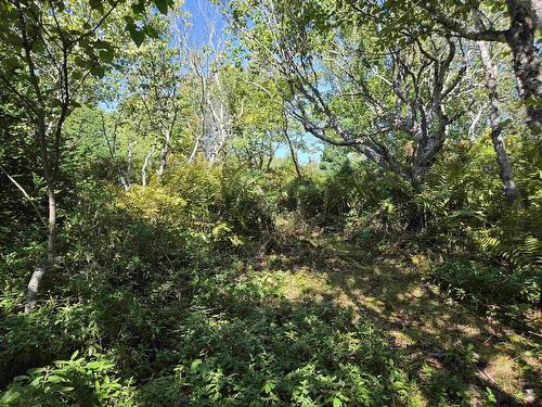 Lot 101 Kelly Point Drive, Prospect, NS 