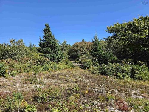 Lot 101 Kelly Point Drive, Prospect, NS 