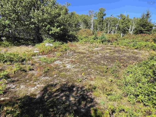 Lot 101 Kelly Point Drive, Prospect, NS 