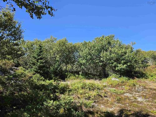 Lot 101 Kelly Point Drive, Prospect, NS 