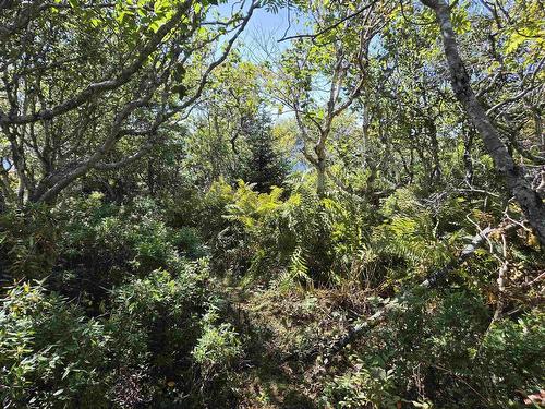 Lot 101 Kelly Point Drive, Prospect, NS 